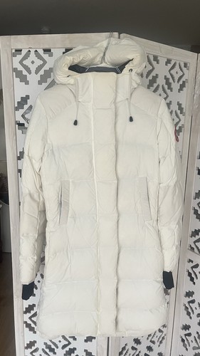 Alliston canada goose - alliston,